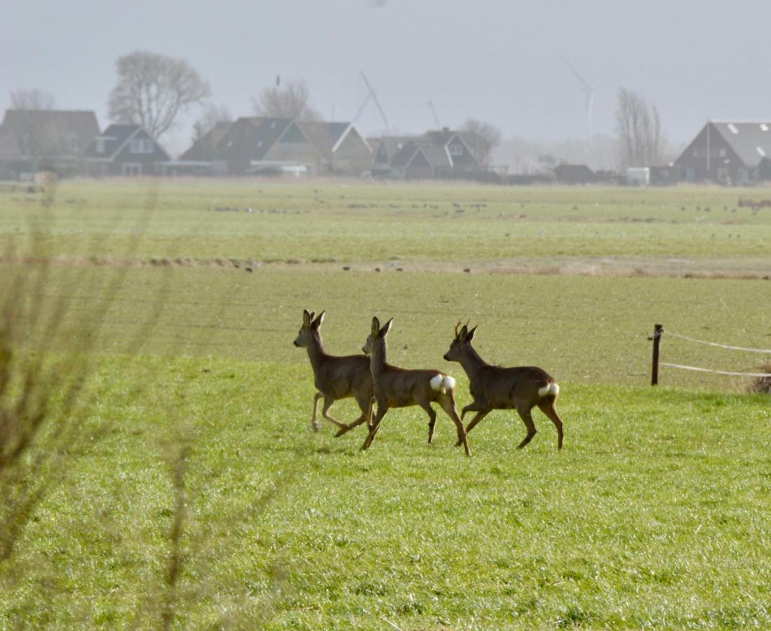 Het Melkhuis Op Prachtig Landgoed Koepeltjesplaats Gaast Ngoại thất bức ảnh