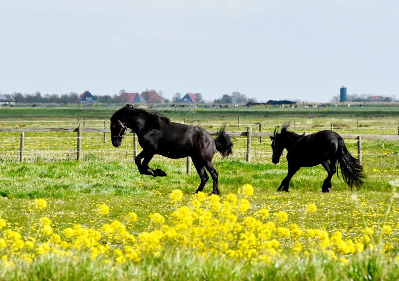 Het Melkhuis Op Prachtig Landgoed Koepeltjesplaats Gaast Ngoại thất bức ảnh